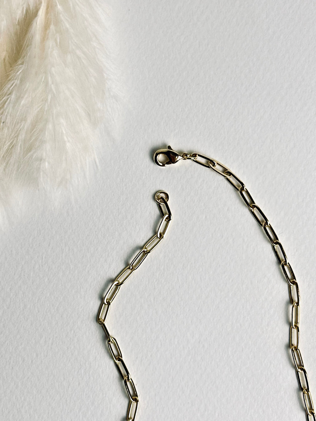 Gloria – Gold Paperclip Necklace from the Timeless Grace collection, an 18k gold-filled 16-inch chain displayed on a white background with white feather grass. The focus is on the lobster clasp, highlighting its fine craftsmanship and secure, elegant design — a symbol of connection, strength, and the beauty found in simple details.
